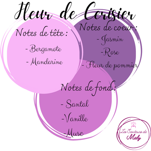 Fondant Coton - Les Senteurs de Maly - notes olfactives et présentation