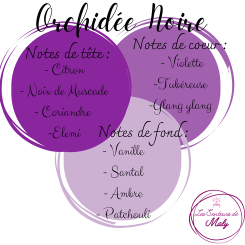 Poudre aspirateur Orchidée noire - Les Senteurs de Maly - notes olfactives et famille de parfum