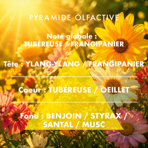 Bougie parfumée Fleurs au Soleil - mise en situation décoration intérieure - L'Échoppe Buissonnière