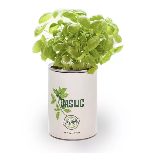 Kit à semer - Basilic - Fabriqué en France - J'achète français