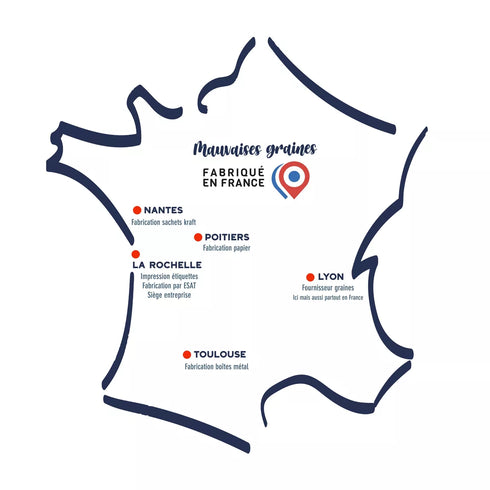 Kit à semer "Graines de Chance" Fabriqué en France - J'achète français