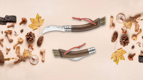 Couteaux à champignons Opinel noyer noir entourés de champignons et de feuilles