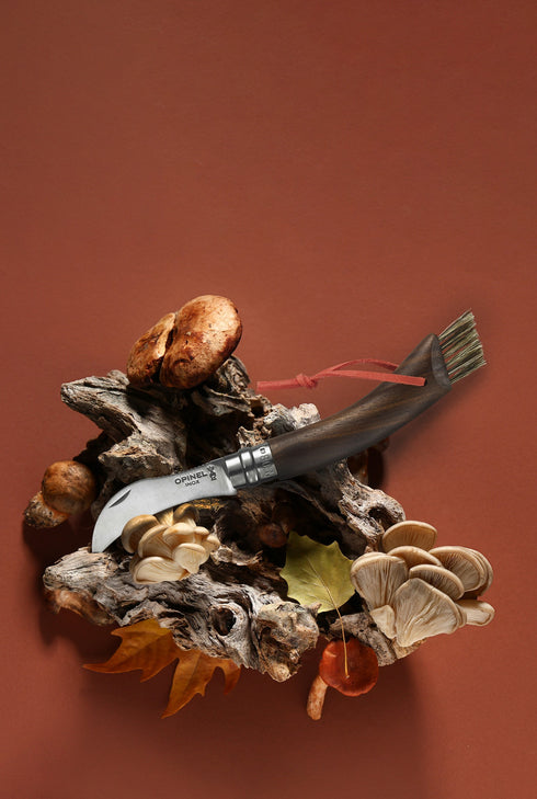 Couteau à champignons Opinel noyer noir avec une cueillette de champignons