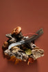 Couteau à champignons Opinel noyer noir avec une cueillette de champignons