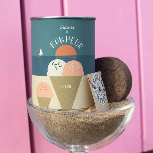 Kit à semer "Bonheur" - Graines de Fraises des Bois - J'achète français