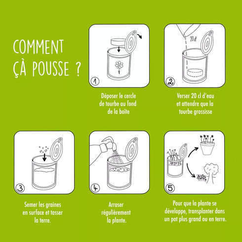 Kit à semer "Bonheur" - Graines de Fraises des Bois - J'achète français