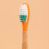 Brosse à Dents à Tête Rechargeable – Pimpant (Bois de Charme)