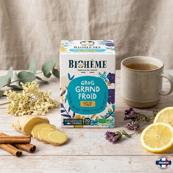 Infusion Grog Grand Froid Bio – Biohème (20 sachets) - J'achète français - Biohême