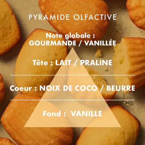 Bougie parfumée Madeleine - L'Échoppe Buissonnière