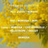 Bougie parfumée Mimosa - L'Échoppe Buissonnière