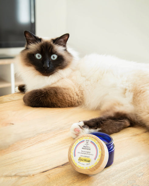 Baume de Soin Cicatrisant Chat – Rescousse – Truffe & Moustache - J'achète français - Truffe & Moustache