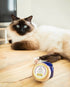 Baume de Soin Cicatrisant Chat – Rescousse – Truffe & Moustache - J'achète français - Truffe & Moustache