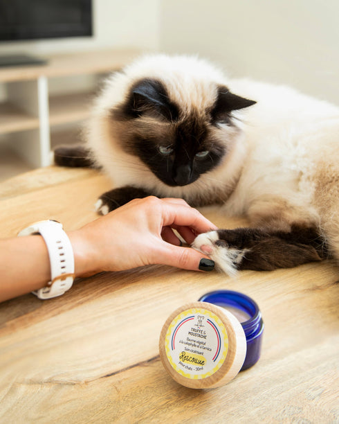 Baume de Soin Cicatrisant Chat – Rescousse – Truffe & Moustache - J'achète français - Truffe & Moustache
