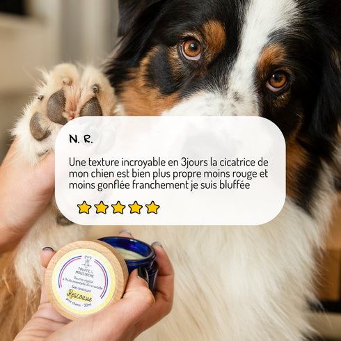 Baume de Soin Cicatrisant Chien – Rescousse – Truffe & Moustache - J'achète français - Truffe & Moustache
