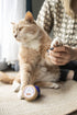Baume Truffe & Coussinets Chien & Chat – Velours – Truffe & Moustache - J'achète français - Truffe & Moustache