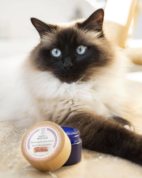 Baume Truffe & Coussinets Chien & Chat – Velours – Truffe & Moustache - J'achète français - Truffe & Moustache