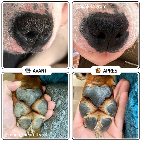 Baume Truffe & Coussinets Chien & Chat – Velours – Truffe & Moustache - J'achète français - Truffe & Moustache