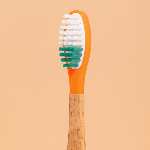 Brosse à Dents à Tête Rechargeable – Pimpant (Bois de Charme) - J'achète français - PIMPANT