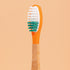 Brosse à Dents à Tête Rechargeable – Pimpant (Bois de Charme) - J'achète français - PIMPANT