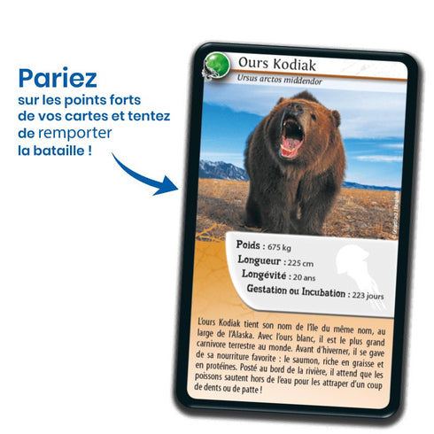 Carte de l'ours Kodiak du jeu Défis Nature Animaux redoutables