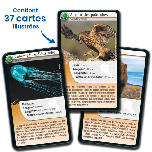 Cartes illustrées du jeu Défis Nature Animaux redoutables