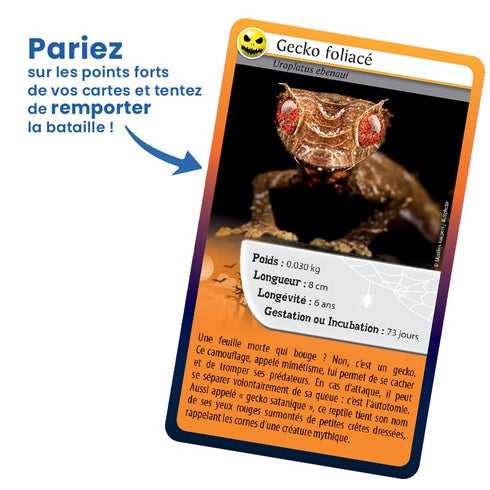 Carte du gecko foliacé du jeu Défis Nature Même pas peur !