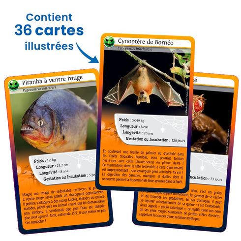 Cartes du piranha et du cynoptère de Bornéo, Défis Nature Même pas peur !