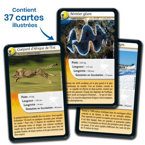 Cartes illustrées du jeu Défis Nature Records des animaux