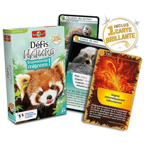 Boîte et cartes de la loutre de mer et de la chevêche, Défis Nature Trop mignons !