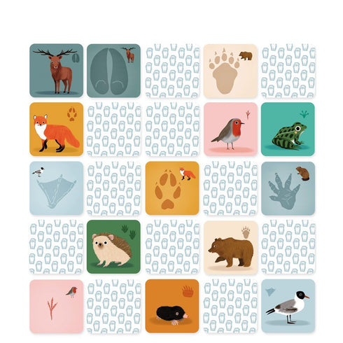 Planche de cartes animaux et empreintes à détacher