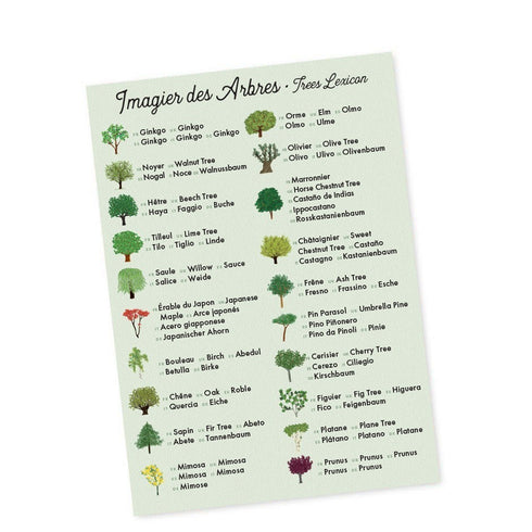 Imagier des arbres du jeu de mémoire