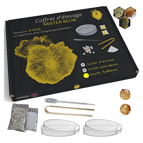 Coffret d'élevage de blob Mister Blob, boîtes de Petri, pince et sclérotes