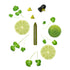 OCNI - Recharge crayon assaisonnement Coriandre & Citron Vert biologique fabriqué en France - tube sans taille-crayon