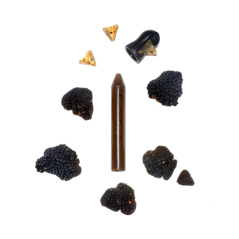OCNI - Recharge crayon assaisonnement Truffe Noire biologique fabriqué en France - tube sans taille-crayon
