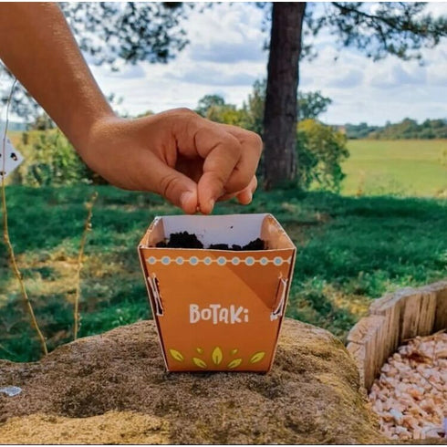 Pot en carton Botaki avec un semis de radis, dans le jardin