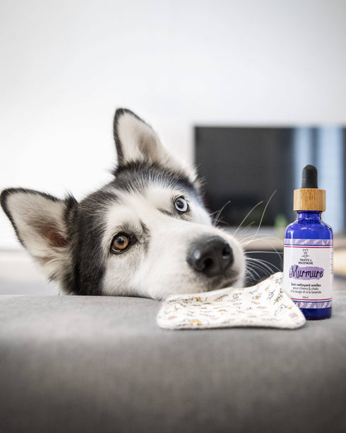 Soin Nettoyant Oreilles Chien & Chat – Murmure – Truffe & Moustache - J'achète français - Truffe & Moustache