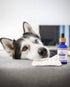 Soin Nettoyant Oreilles Chien & Chat – Murmure – Truffe & Moustache - J'achète français - Truffe & Moustache