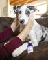 Soin Nettoyant Oreilles Chien & Chat – Murmure – Truffe & Moustache - J'achète français - Truffe & Moustache