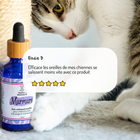 Soin Nettoyant Oreilles Chien & Chat – Murmure – Truffe & Moustache - J'achète français - Truffe & Moustache