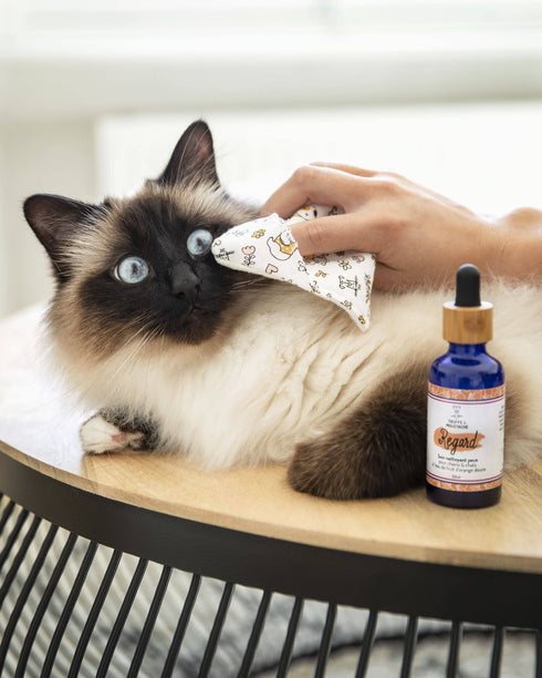 Soin Nettoyant Yeux Chien & Chat – Regard – Truffe & Moustache - J'achète français - Truffe & Moustache