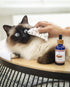 Soin Nettoyant Yeux Chien & Chat – Regard – Truffe & Moustache - J'achète français - Truffe & Moustache