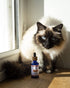 Soin Nettoyant Yeux Chien & Chat – Regard – Truffe & Moustache - J'achète français - Truffe & Moustache