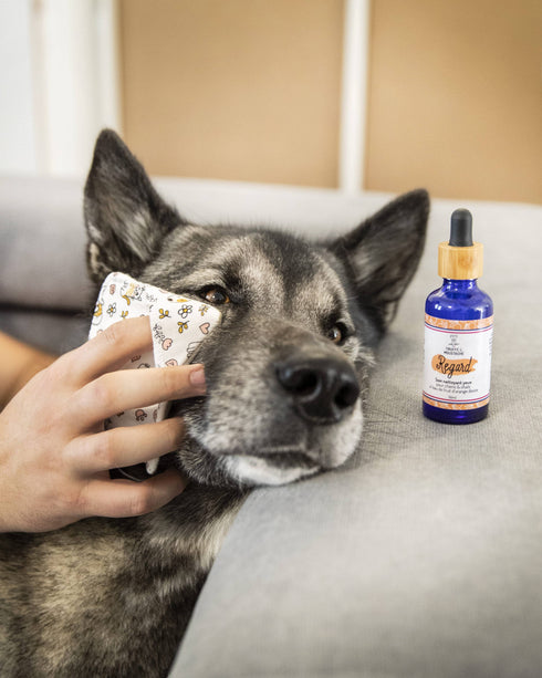 Soin Nettoyant Yeux Chien & Chat – Regard – Truffe & Moustache - J'achète français - Truffe & Moustache