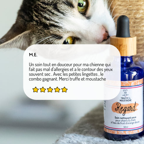 Soin Nettoyant Yeux Chien & Chat – Regard – Truffe & Moustache - J'achète français - Truffe & Moustache
