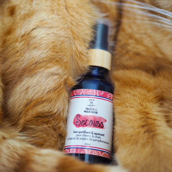 Soin Purifiant et Anti-démangeaisons Chien & Chat – Secours – Truffe & Moustache - J'achète français - Truffe & Moustache