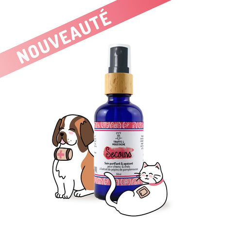 Soin Purifiant et Anti-démangeaisons Chien & Chat – Secours – Truffe & Moustache - J'achète français - Truffe & Moustache