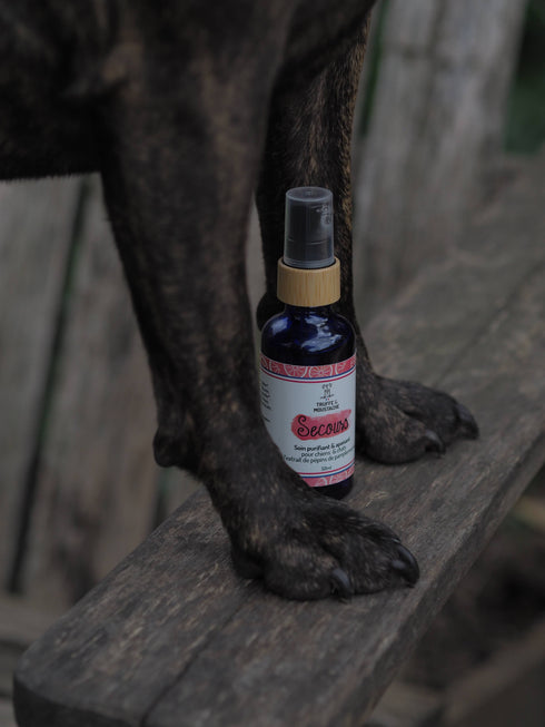 Soin Purifiant et Anti-démangeaisons Chien & Chat – Secours – Truffe & Moustache - J'achète français - Truffe & Moustache