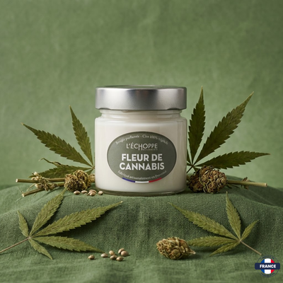 Bougie parfumée Eucalyptus - Cire 100% végétale - J'achète français - L'échoppe Buissonnière